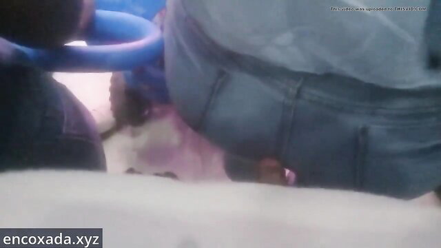 Amateur video of woman under man with blue toy, upskirt ass view