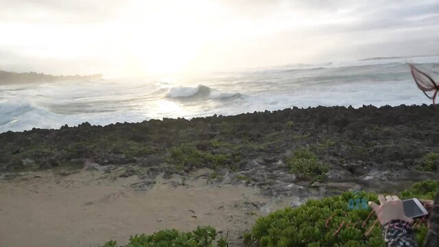 Violet Monroe at sunny beach with waves, hand on phone