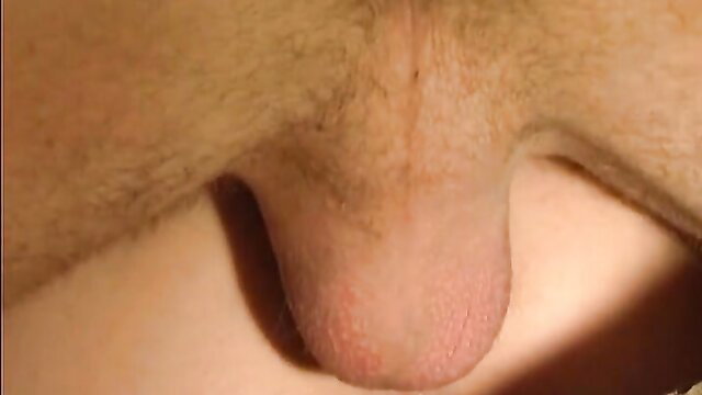 Closeup of hairy man's erect uncut cock and balls in gay porn thumbnail