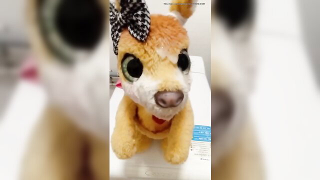 Furry kangaroo plush toy in arousing pose, FurReal kangaroo cum fantasy
