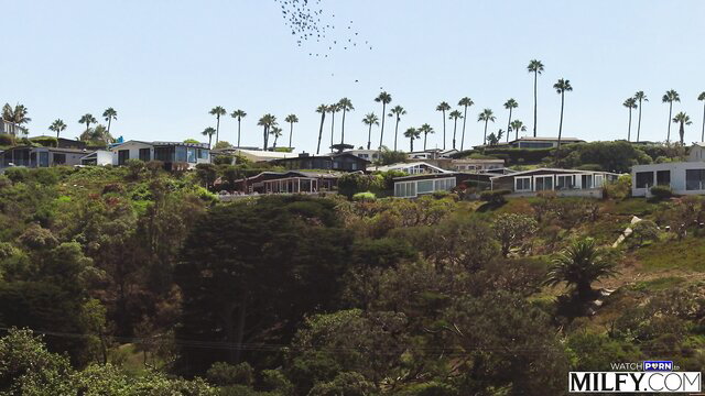 Sandy Love's Malibu hills home overlooking palm trees and ocean