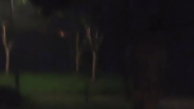 Night outdoor amateur tease with Asian girl flashing assets to helper