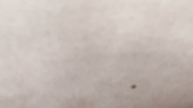 Blurry closeup of Desi step-mom's face in ecstasy from gonzo fuck