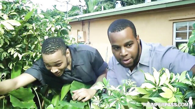 Two ebony guys peek through plants in BBW threesome preview