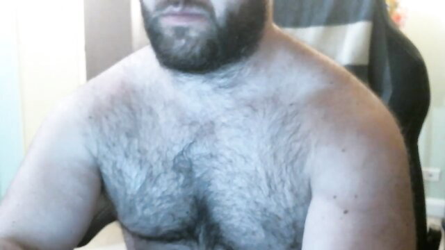 Hairy bearded bear daddy topless flexing chest for gay cruising