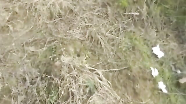 Amateur grandpas fucking mature woman in grass outdoors