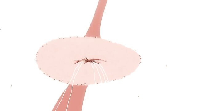 DP closeup: muscular studs' cocks stretch girl's pussy and ass