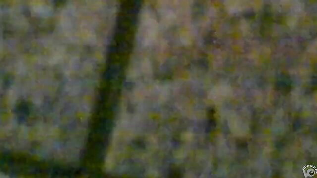 Blurry closeup of cute girl's shaved pussy filmed upskirt