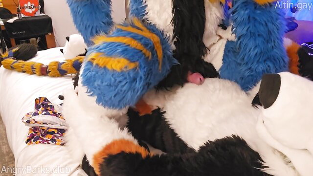 AngryBarks monstrous mutt knotfucks tiny kitten fursuit sex