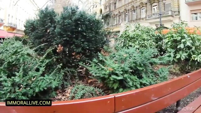 Matt Bird in outdoor garden with lush greenery bushes