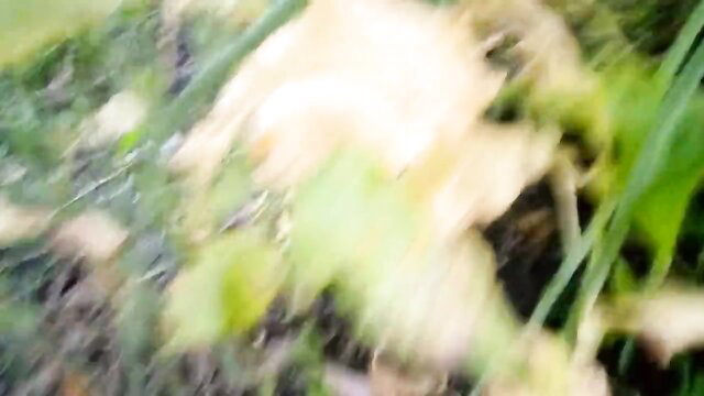 Blurry Indian desi MILF in field outdoor sex with son-in-law