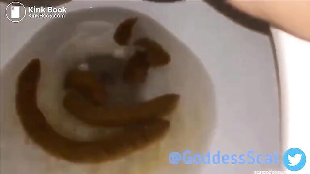 Goddess Amanda shit compilation toilet scat smile by @GoddessScat