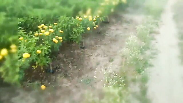 Indian aunty in saree embracing man intimately