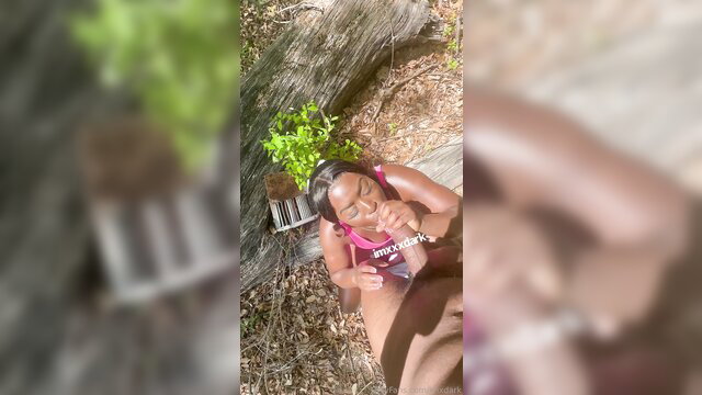 Ebony amateur babe outdoors flashing pussy and tits on hands and knees