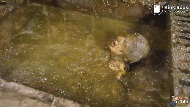 Kaitlyn Katsaros covered in cow manure, wild shit kink orgasm