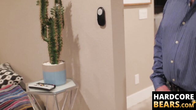 Hairy bear bends over prepping fat ass for hardcore pounding