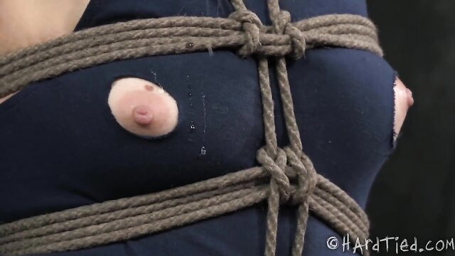 Dark-haired beauty's tits tormented in shibari rope bondage