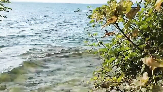 Hot amateur babe blows cock by the sea then fucked outdoors