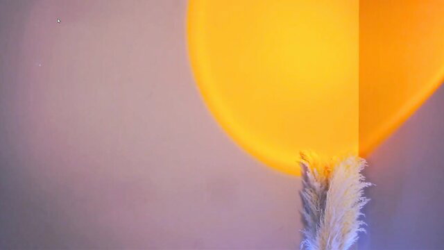Tessarosse nude solo with orange balloon and feathers