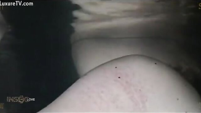 Closeup of pale woman's hip with leeches sucking skin in fetish scene