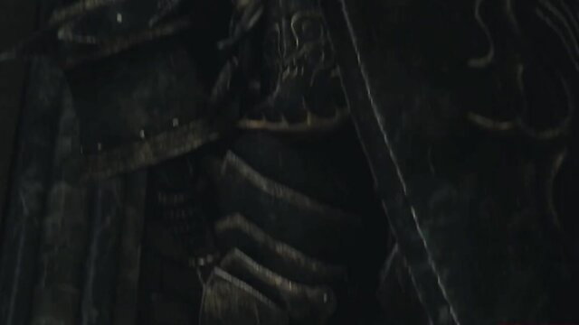 Momiji Demon Hunter in dark ornate armor, sexy fantasy cosplay