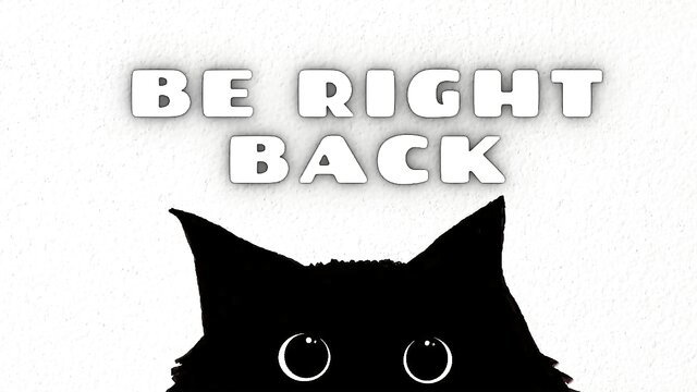 Peeking black cat meme thumbnail for Bernicecompanie shy 18yo blonde teen Chaturbate