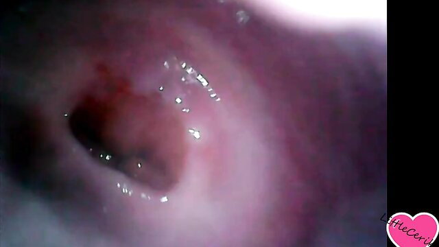 LittleCerika endoscope view inside wet shaved pussy closeup