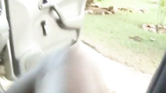 HD street trans prostitute sucking cock in car POV