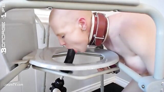 Rachel Greyhound bald sub restrained in toilet chair with dildo gag training