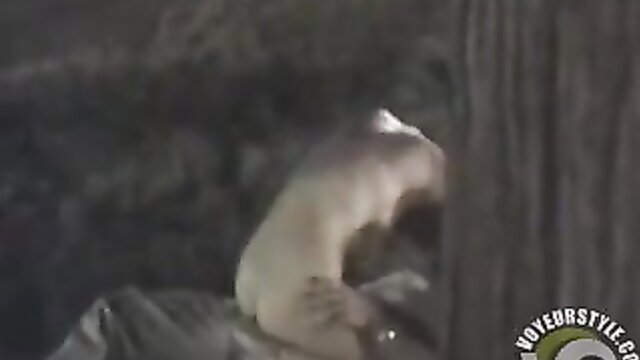 Petite girl rides friend's cock outdoors in city park park