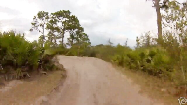 Ladies on quadbike adventure in Florida woods, outdoor thrill