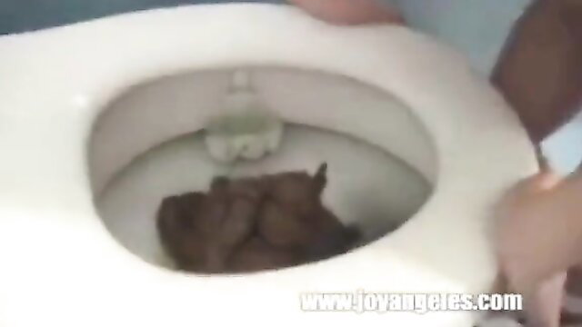 Girl shitting huge turd in toilet closeup from Scat Kings