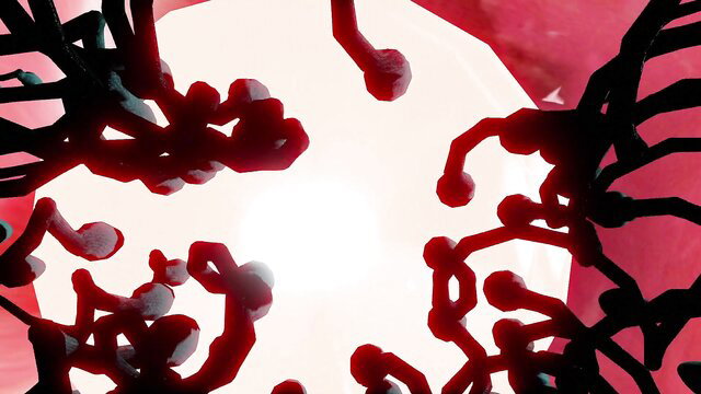 MMD Jinhsi insect birth hentai animation closeup