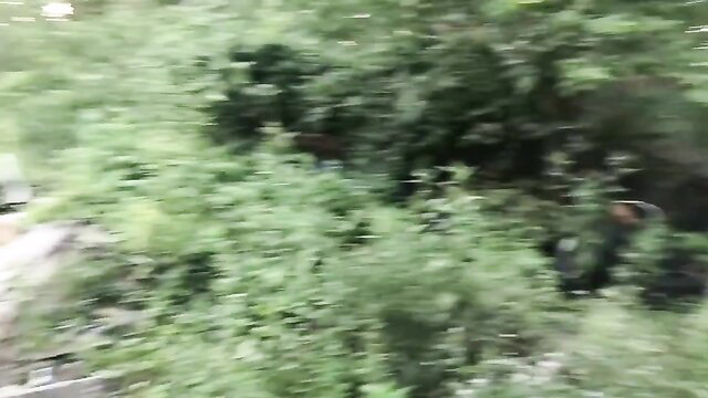 Blurry granny in green bushes outdoor interracial tease