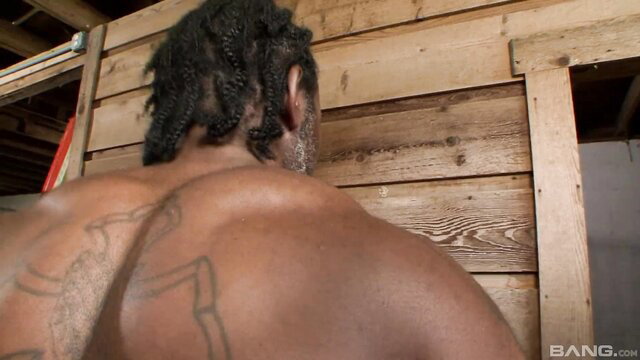 Muscular black man with dreads and tattoos in interracial orgy scene