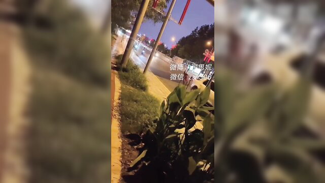 Zhang Sini risky public masturbation with helping hand outdoor