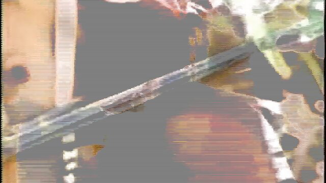 Lisa De Leeuw Hot Shots Swedish Erotica 112 vintage porn thumbnail