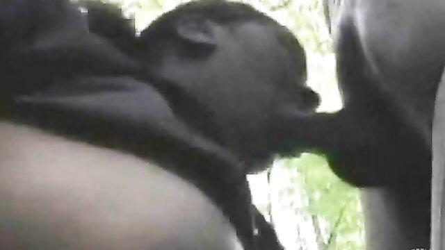 Woman being humped by a man outdoors