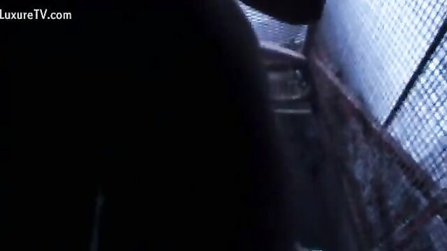 BDSM girl in lift chained to wall, fetish tease