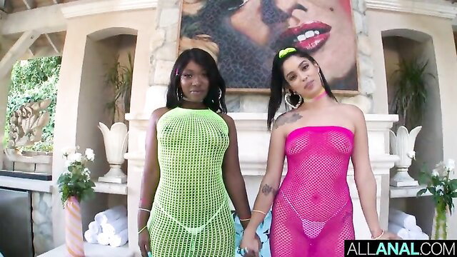 Skyler Nicole and Vanessa Sky in sexy fishnet dresses holding hands