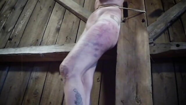 Brutal master ties pale bruised woman suspended by ankles in barn