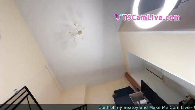 TS cam babe POV view perfect tits shemale solo toy control live