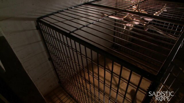 Blonde big tits suspended in cage for ferocious toy torment