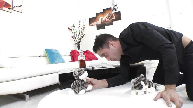 Man kissing stuffed tiger toys in intense adult tease session