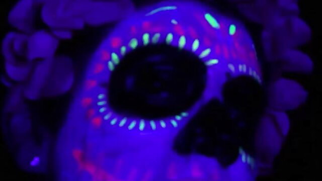 Glowing neon Day of the Dead sugar skull face with purple flowers, cumplay vibes