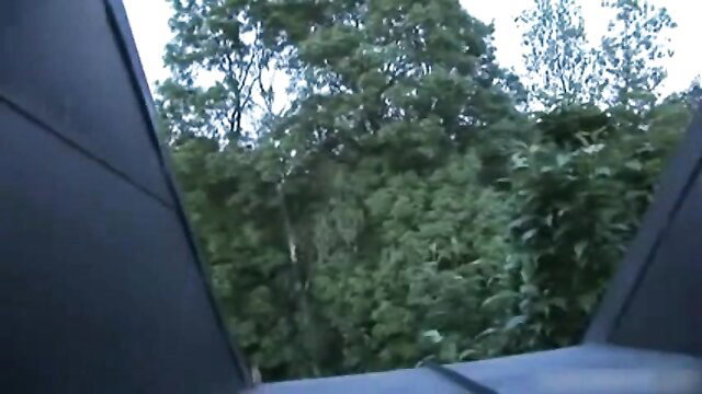 Amateur outdoor forest scene from POV through window frame