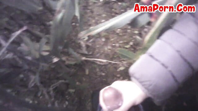 Amateur outdoor handjob in cornfield with thick cumshot on hand