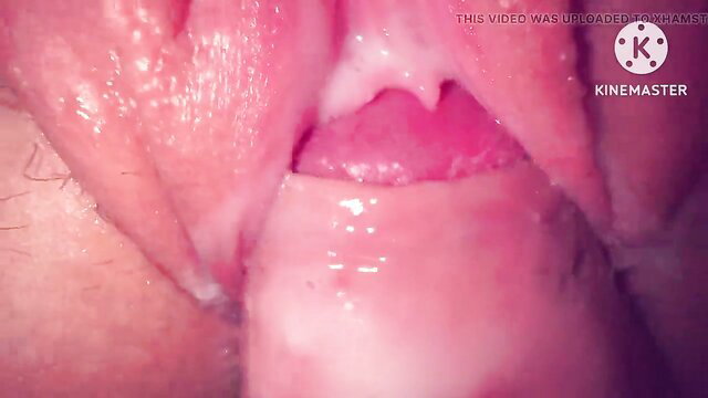 Closeup of Indian desi teen pussy penetrated in office sex