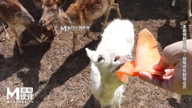 Wu Mengmeng feeding baby goat orange outdoors - OnlyFans #48