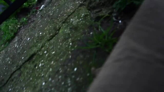 Brooklyn Blue wet outdoor tease on mossy path